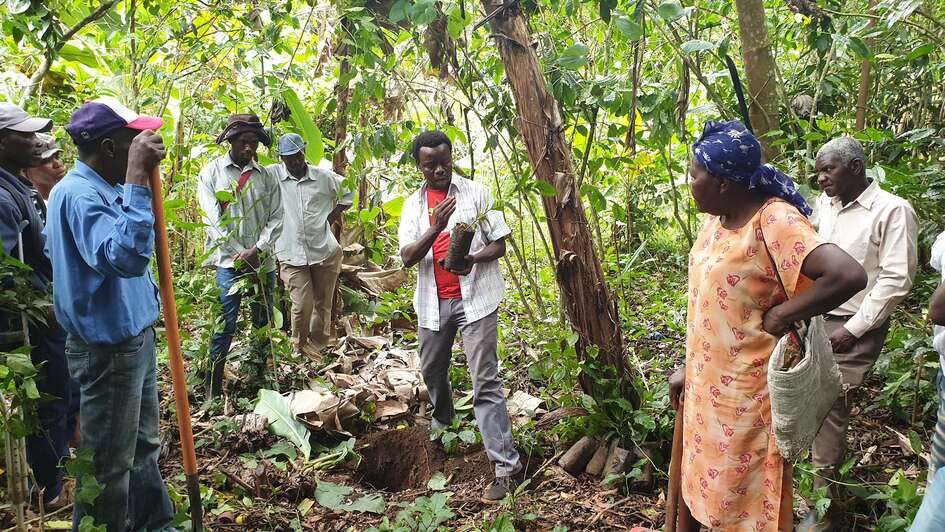 Eine Gruppe Menschen im Wald Haitis bekommt Informationen zu einer Kaffeepflanze.