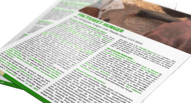 Factsheet Hunger 2021