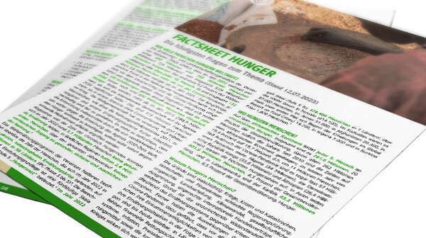 Deckblatt Factsheet Hunger 2013