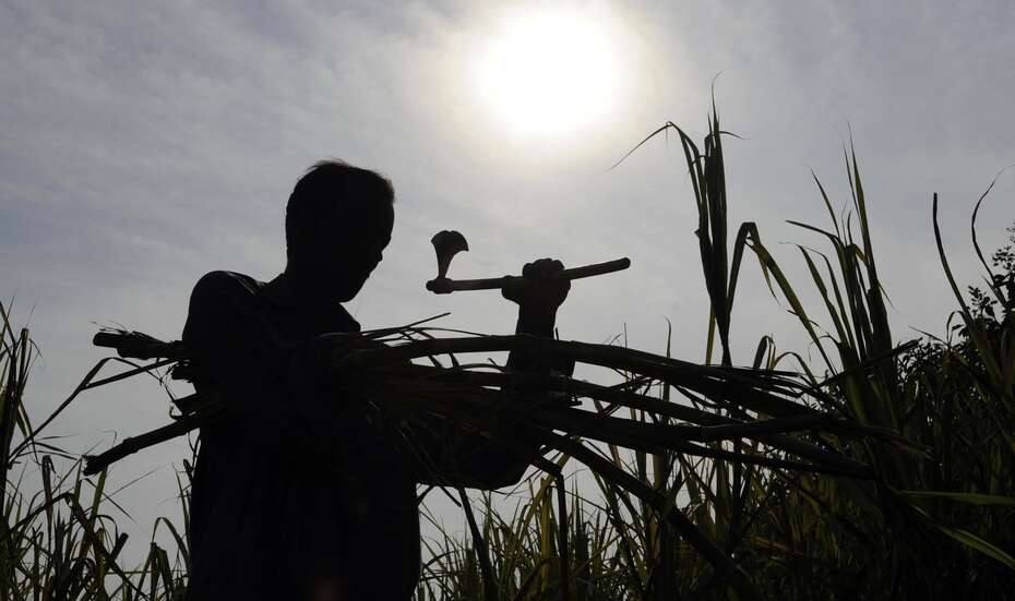 Hilfe für Pakistan - jetzt spenden! Bild: Durch Vielfalt unabhängig werden