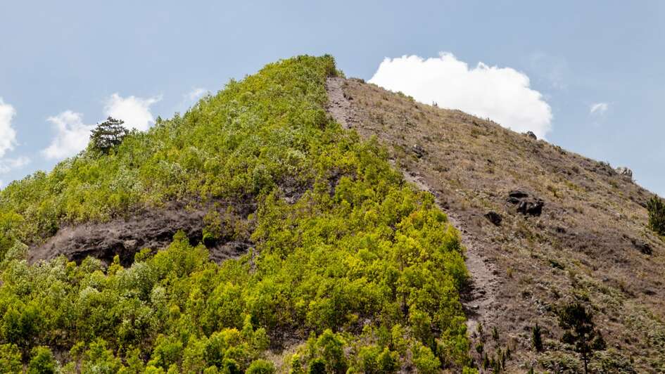Regenwaldabholzung in Haiti, 2019. 
