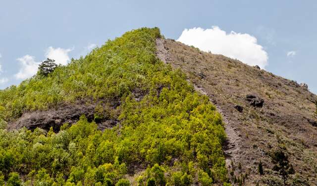 Regenwaldabholzung in Haiti, 2019. 
