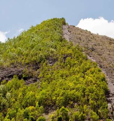 Regenwaldabholzung in Haiti, 2019. 