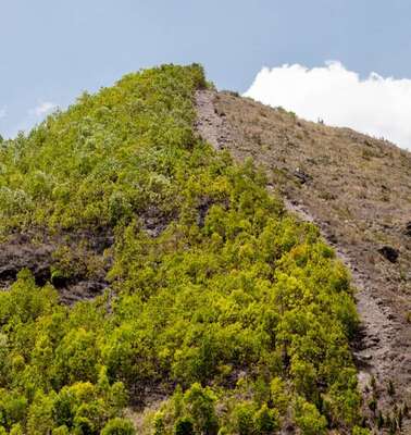Hilfsprojekte in Haiti: Hügel in Haiti mit einer bewaldeten und einer gerodeten Seite.