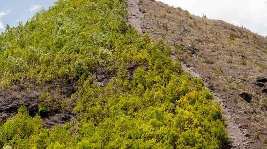 Hilfsprojekte in Haiti: Hügel in Haiti mit einer bewaldeten und einer gerodeten Seite.