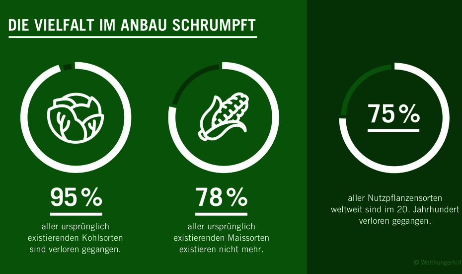 Kreisdiagramm: 75% aller Nutzpflanzensorten weltweit sind im 20. Jahrhundert verloren gegangen