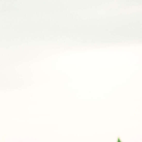 Eine junge Frau läuft am Rhein entlang. An ihrem blauen Oberteil ist eine Startnummer des Zero Hunger Run befestigt.