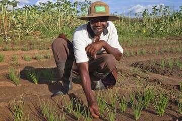 George Moyo, Kleinbauer aus Simbabwe