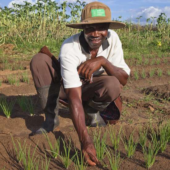 Zimbabwe Projekte 2014, Kleinbauern in Simbabwe