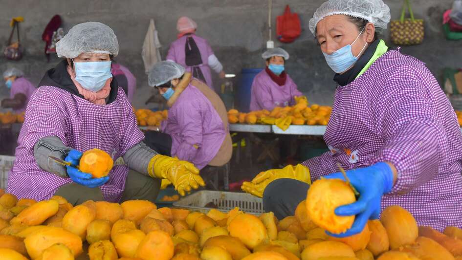 Zwei Frauen mit Mund- und Haarschutz stehen vor einem Tisch voller Süßkartoffeln.