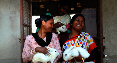 Drei Frauen halten weiße Kaninchen in den Händen und lächeln.