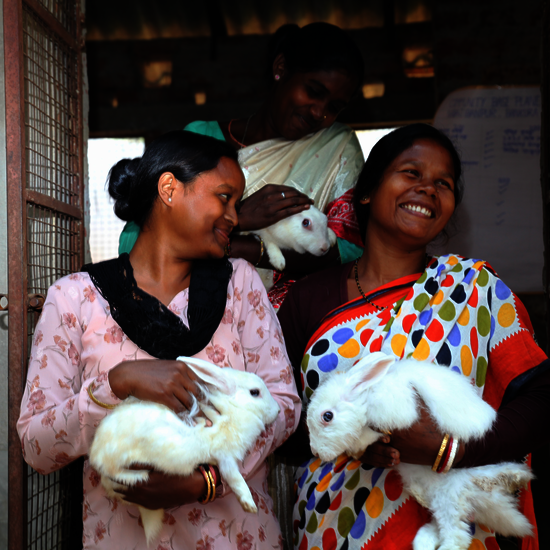 Drei Frauen halten weiße Kaninchen in den Händen und lächeln.