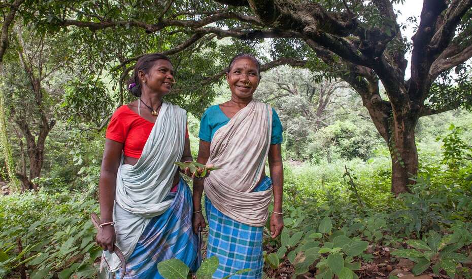 Zwei Frauen in bunten, traditionell indischen Gewändern während der Nahrungssammlung.