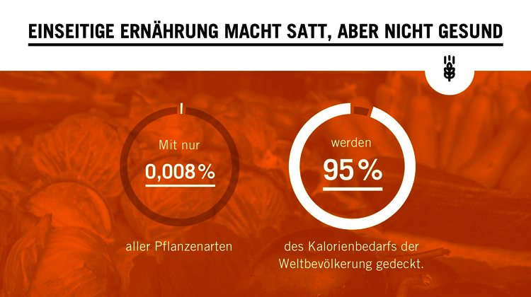 Orangefarbene Grafik zum Thema Biodiversität. Text: Einseitige Ernährung macht satt, aber nicht gesund. Mit nur 0,008% alles Pflanzenarten werden 95% des Kalorienbedarfs der Weltbevölkerung gedeckt. 