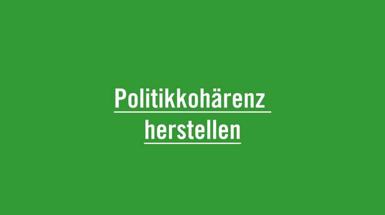 Politikkohärenz herstellen
