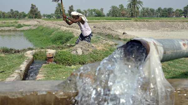 Durch Vielfalt unabhängig werden