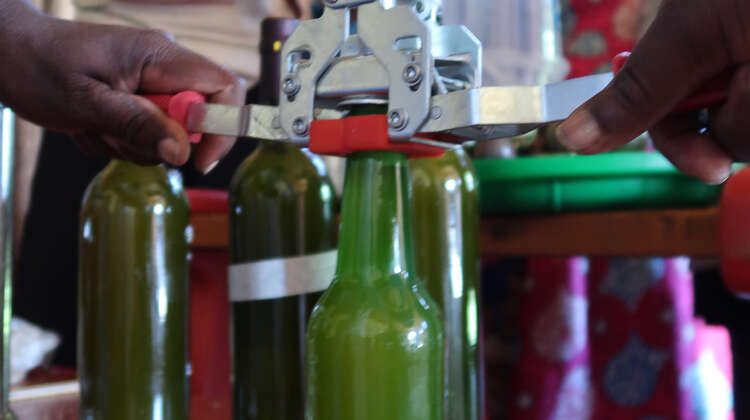 Jemand setzt einen Konkorken auf eine grüne Glasflasche.