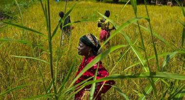 Frauen stehen auf einem Feld.