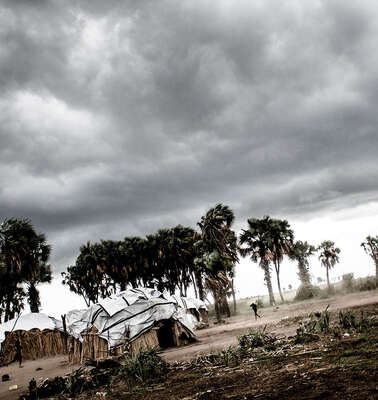 Dunkle Wolken am Himmel, neben aus Holz und Planen gebaute Häuser stehen Palmen, die sich im Wind beugen.