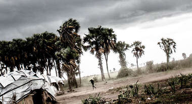 Dunkle Wolken am Himmel, neben aus Holz und Planen gebaute Häuser stehen Palmen, die sich im Wind beugen.