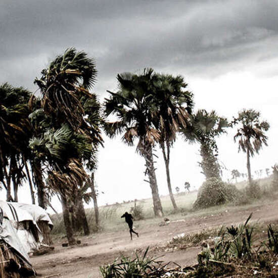 Dunkle Wolken am Himmel, neben aus Holz und Planen gebaute Häuser stehen Palmen, die sich im Wind beugen.