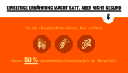 Orangefarbene Grafik zum Thema Biodiversität. Text: Einseitige Ernährung macht satt, aber nicht gesund. Die drei "Haupternährer" Weizen, Reis und Mais decken 50% des weltweiten Kalorienbedarfs der Menschheit. 