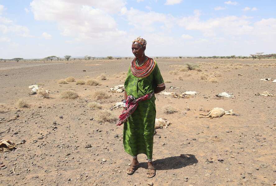 Dürre in Kenia: Eine Frau steht auf einem Feld, im Hintergrund sieht man totes Vieh.