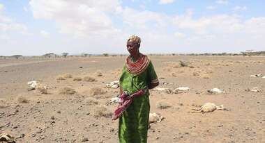 Dürre in Kenia: Eine Frau steht auf einem Feld, im Hintergrund sieht man totes Vieh.