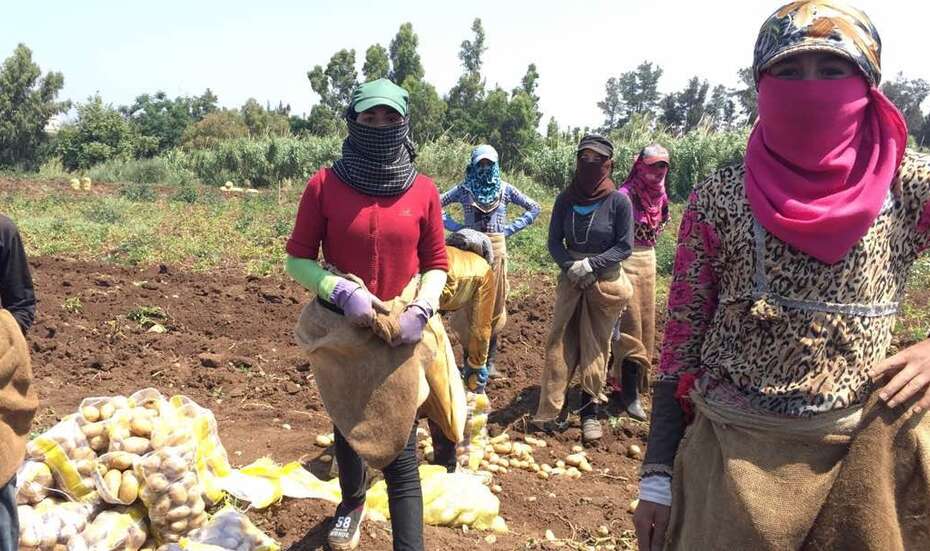 Spenden für den Libanon. Bildbeschreibung: Frauen stehen auf einem Feld.