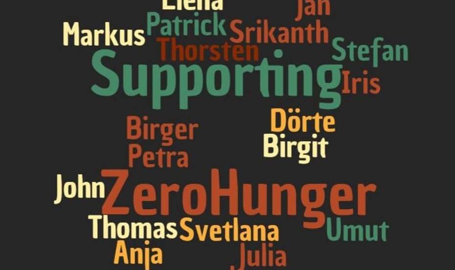 2017-Lebenslaeufer-lebenslauf-Unterstuetzer-Rahul-Jain-1.jpg Symbolbild: Collage Lebensläufer