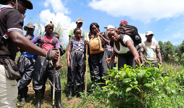 Eine Gruppe junger Menschen steht um eine Pflanze herum, eine junge Frau untersucht sie.