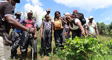 Eine Gruppe junger Menschen steht um eine Pflanze herum, eine junge Frau untersucht sie.