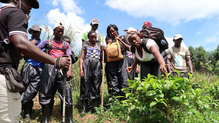 Eine Gruppe junger Menschen steht um eine Pflanze herum, eine junge Frau untersucht sie.