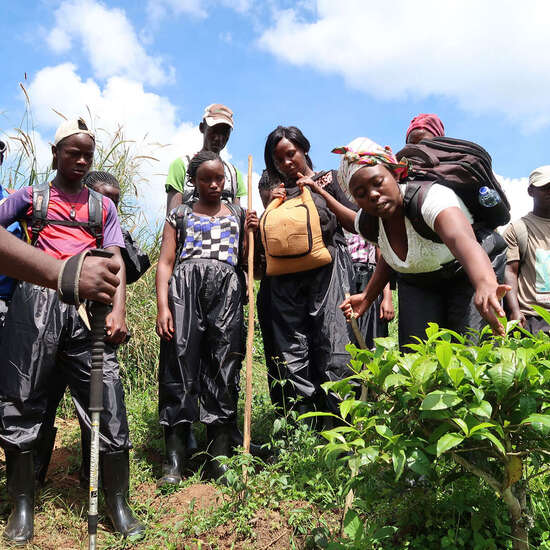 Eine Gruppe junger Menschen steht um eine Pflanze herum, eine junge Frau untersucht sie.
