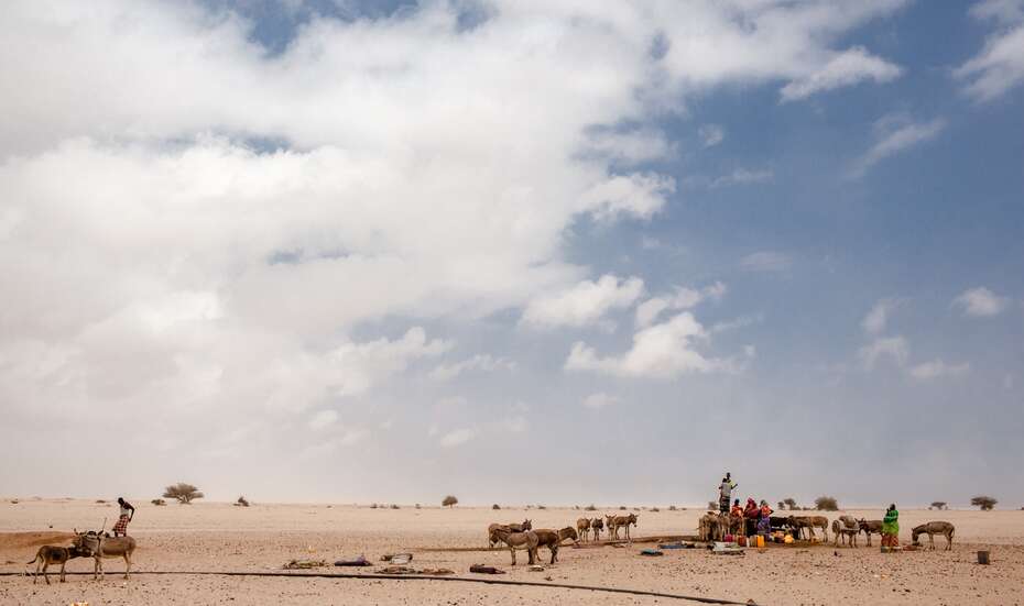 Eine karge, trockene Landschaft.