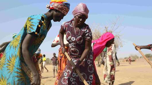 Wasser ist ein Menschenrecht - Frauen und Familien arbeiten, um Wasser und Nahrung zu erhalten.