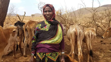 Eine Frau steht vor ihrem abgemagerten Vieh.