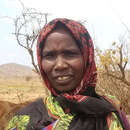 Eine Frau steht vor ihrem abgemagerten Vieh.