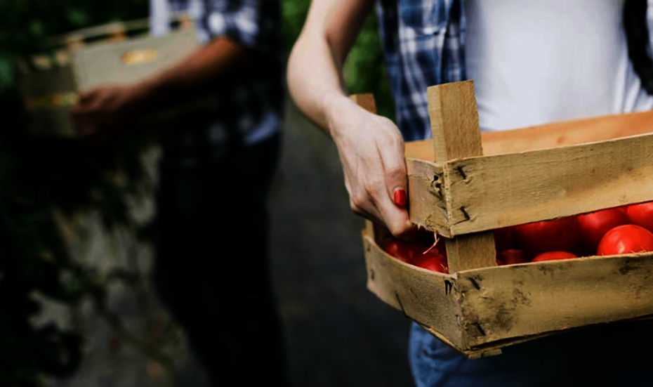 Ein Mann trägt eine Kiste mit Tomaten.