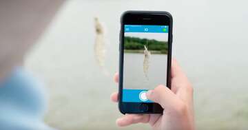 Eine Person schaut in ihr Smartphone.