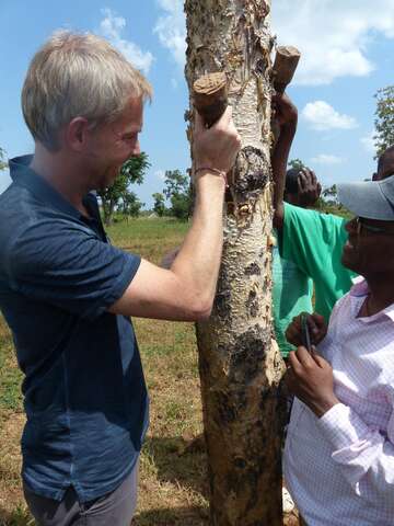 Till Wahnbaeck Weihrauch Ernte