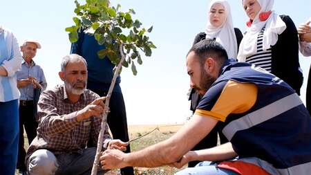 Miri El Hebşen, Geflüchteter aus Syrien in der Türkei, hat in einer landwirtschaftlichen Schulung gelernt, Pistazienbäume zu veredeln.