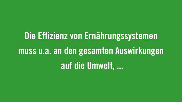 Die Effizienz von Ernährungssystemen muss u.a. an den gesamten Auswirkungen auf die Umwelt, der Nahrungsmittelqualität, sozialen Inklusion und des Zugangs zu Nahrungsmitteln gemessen werden und nicht nur an der Menge der produzierten Lebensmittel. 