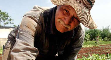 Ein Mann bei der Feldarbeit