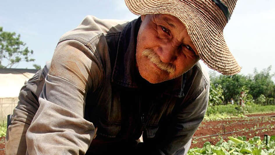 Ein Mann bei der Feldarbeit