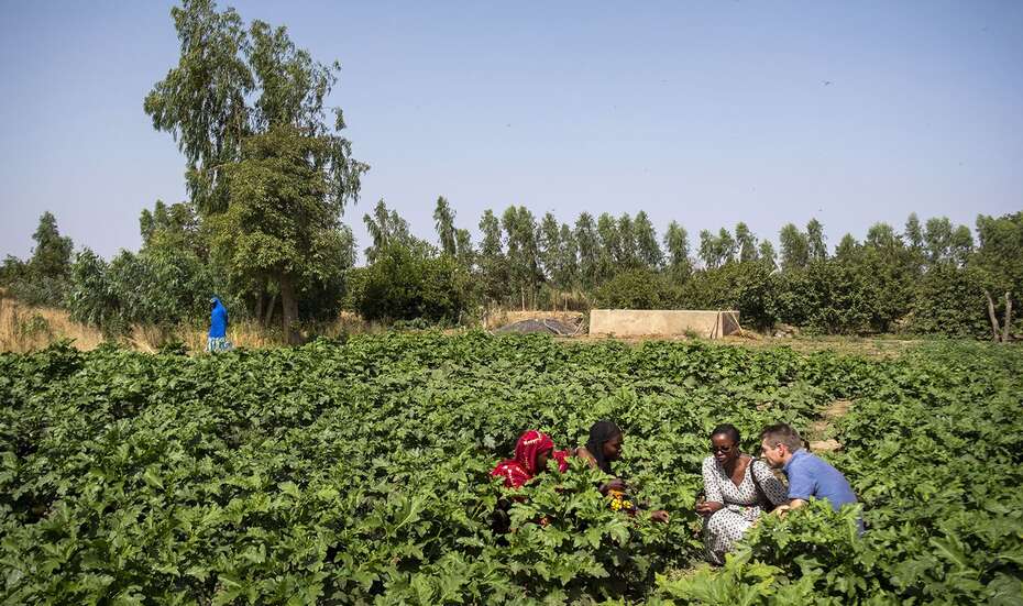 Mathias Mogge mit Frauen aus dem Dorf Lattakaf auf einem Feld