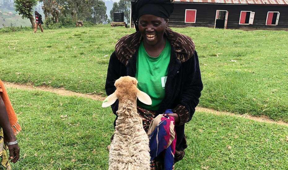 Eine Frau freut sich über ein Schaf.