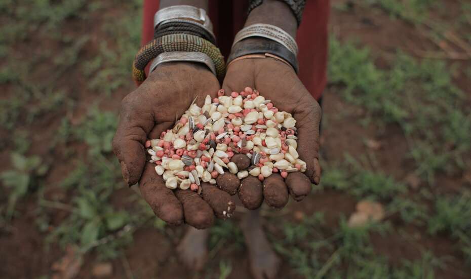 Nahaufnahme: Hände halten Saatgut.