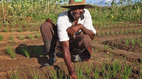 Ein Mann bei der Feldarbeit.