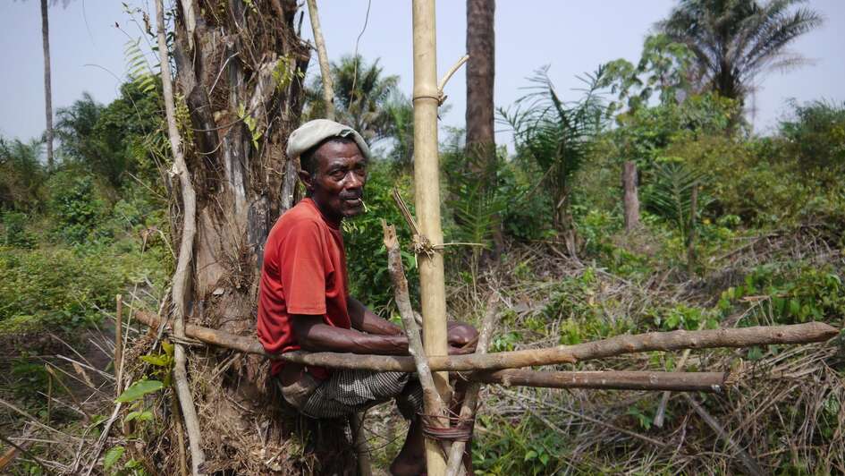 Mann sitzt auf einem Baum
